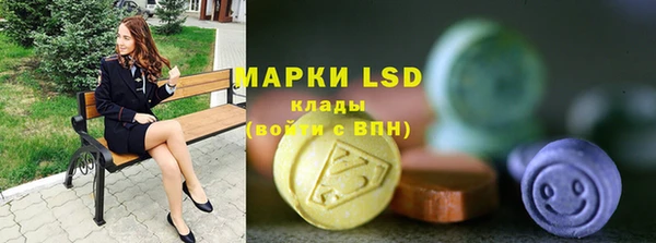 дживик Белокуриха