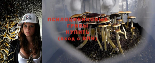 трава Богданович