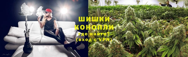 дживик Белокуриха